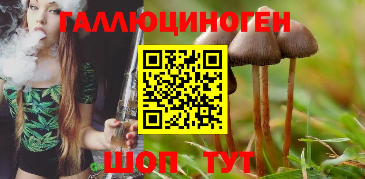 Псилоцибиновые грибы Cubensis Бирск