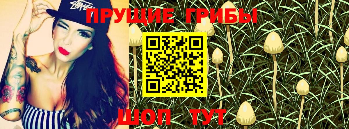Псилоцибиновые грибы GOLDEN TEACHER  Галлюциногенные грибы мухоморы  Бирск  Вход с VPN 